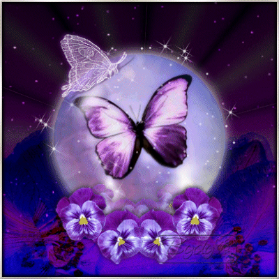 Открытки с бабочками с анимациями. Открытки с бабочками gif.