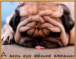 Открытки на вторник скачать. Открытки на вторник бесплатно онлайн.