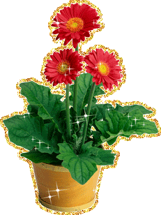 Открытки с герберами скачать бесплатно. Открытки с герберами gif.