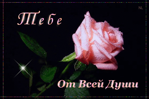 Красивые Открытки для тебя скачать  бесплатно. Открытки для тебя gif.