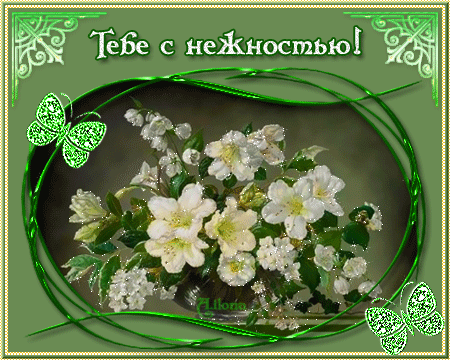 Открытки с цветами жасмина скачать. Открытки с цветами жасмина анимационные.