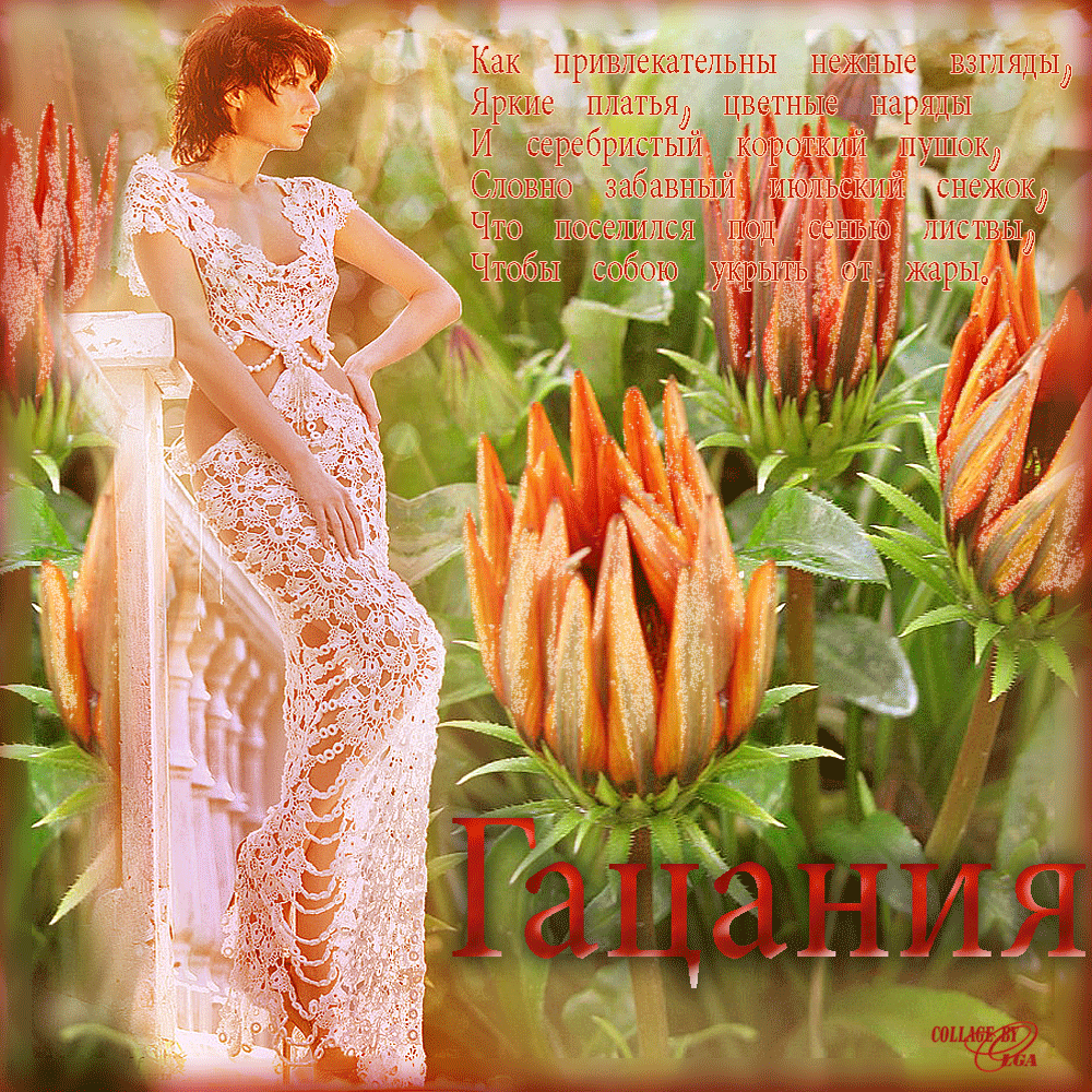 Открытки с гацаниями скачать бесплатно. Открытки с гацаниями онлайн.