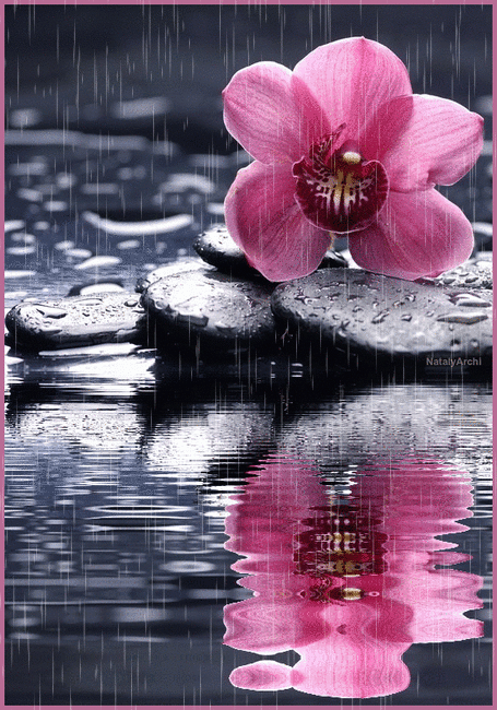 Открытки с дождём скачать бесплатно. Открытки с дождём с анимациями.