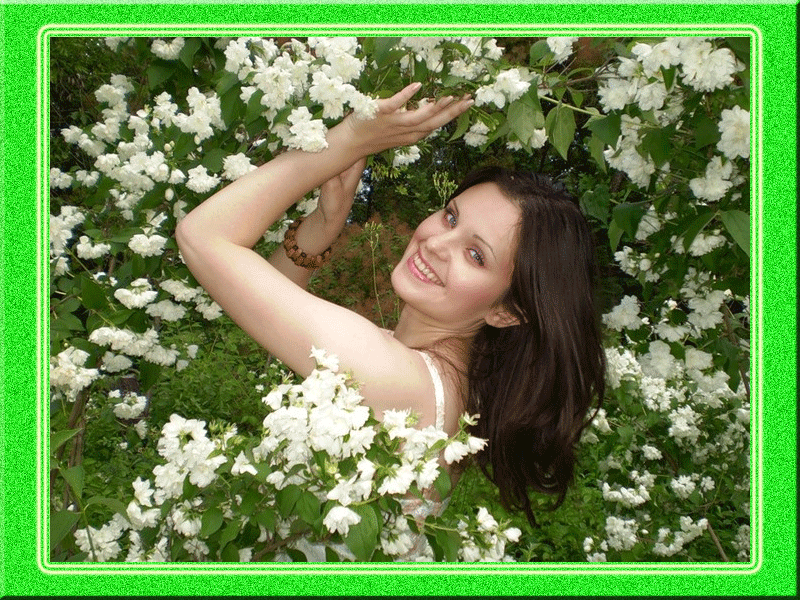 Открытки с цветами жасмина скачать. Открытки с цветами жасмина анимационные.