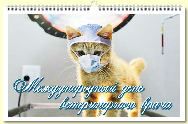 Открытки с Международным днём ветеринара скачать бесплатно.
