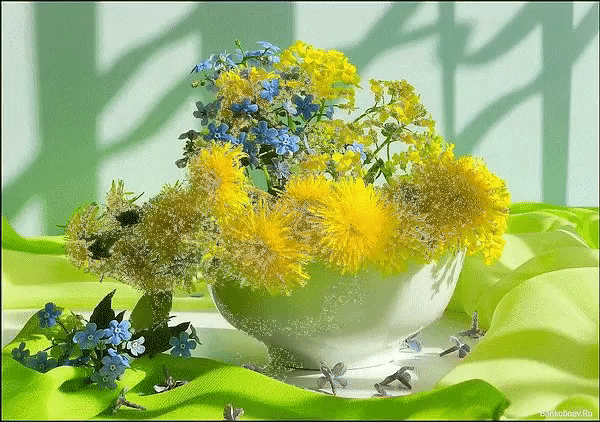 Открытки с желтыми одуванчиками скачать бесплатно. Открытки с желтыми одуванч...