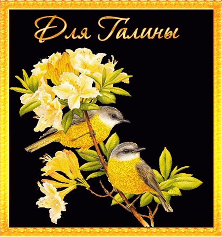 Открытки с именем Галина скачать бесплатно. С днём рождения Галина открытки.