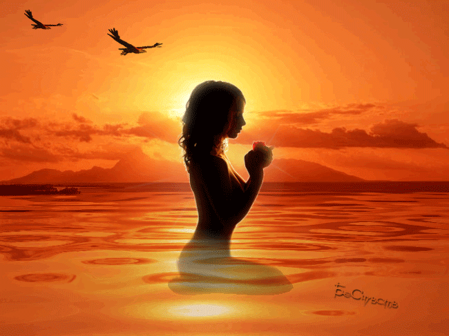 Открытки с парящими в небе птицами скачать бесплатно. Открытки с парящими в н...