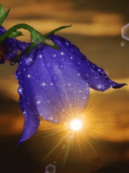 Открытки с колокольчиками онлайн бесплатно. Открытки с колокольчиками анимаци...