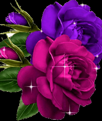 Открытки с фиолетовыми розами скачать бесплатно. Открытки с фиолетовыми розами онлайн.