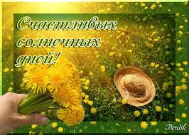 Открытки с желтыми одуванчиками скачать бесплатно. Открытки с желтыми одуванч...