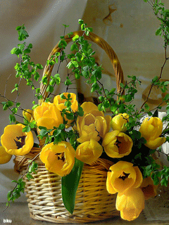 Открытки с желтыми тюльпанами красивые. Открытки с желтыми тюльпанами с анима...