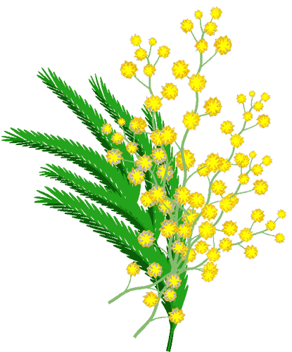 Открытки с мимозой скачать бесплатно. Открытки с мимозой онлайн.