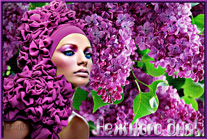 Открытки с розовой сиренью скачать бесплатно. Открытки с розовой сиренью онлайн.