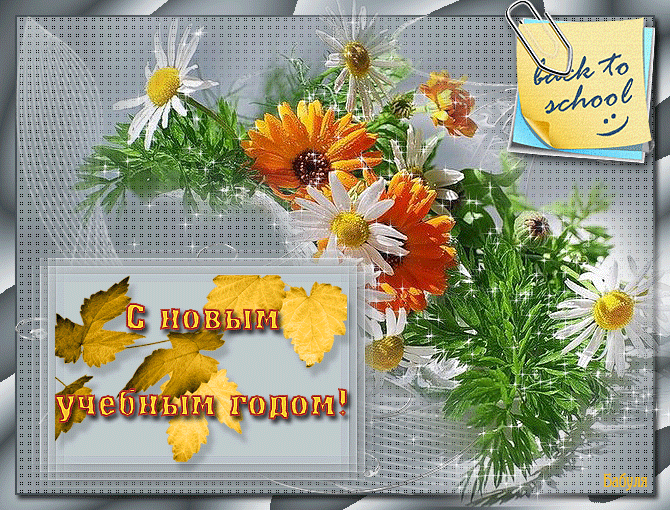 Скачать бесплатные Открытки на 1 сентября с  анимациями gif.