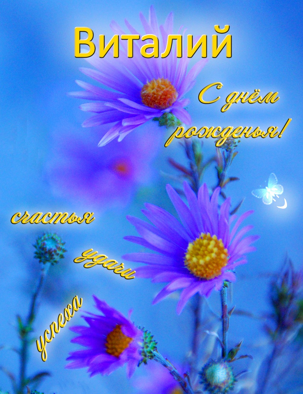 Открытки с именем Виталий скачать бесплатно. Открытки с именем Виталий gif.