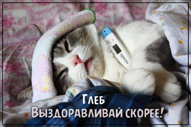 Открытки с именем Глеб скачать бесплатно. Открытки с именем Глеб gif.