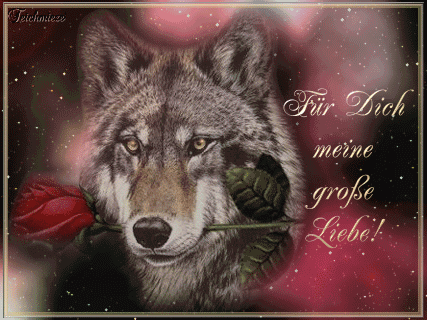 Анимационные открытки с волками. Скачать открытки с волками gif.