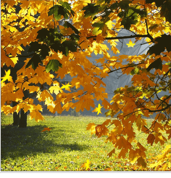 Открытки с листопадом скачать. Открытки с листопадом бесплатно.