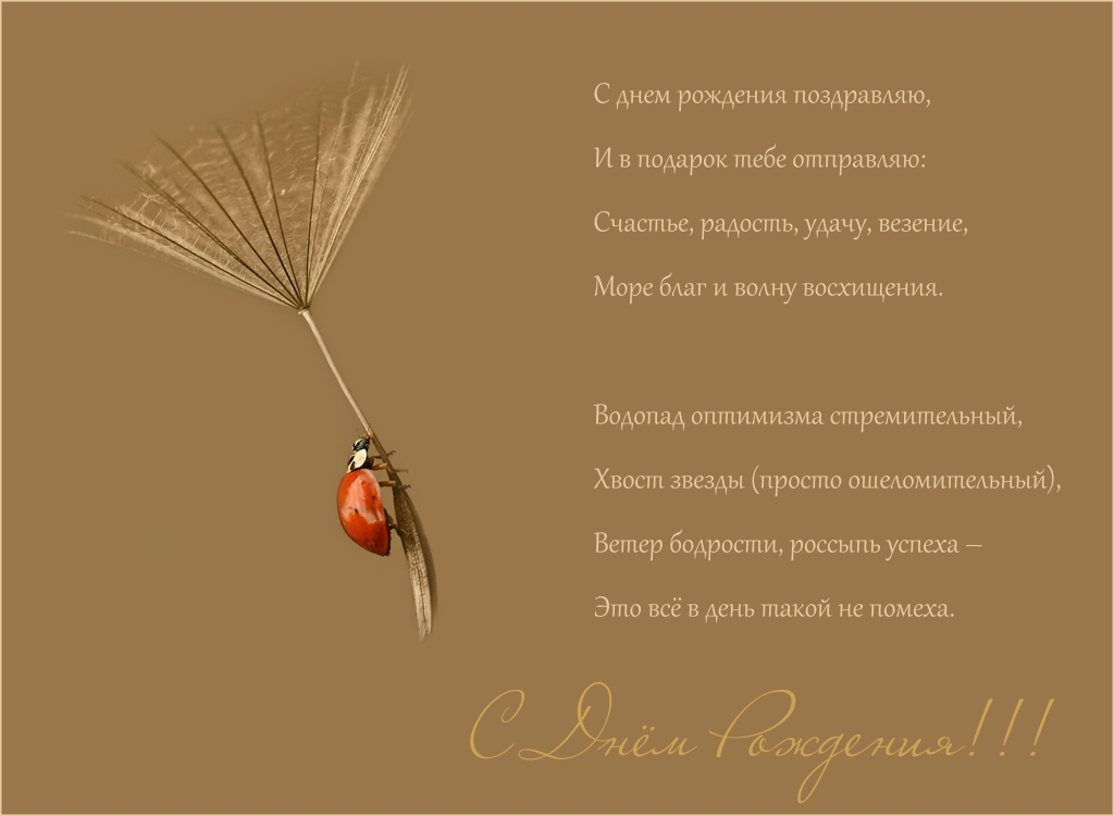 Открытки с днём археолога скачать бесплатно. Красивые Открытки с днём археолога.