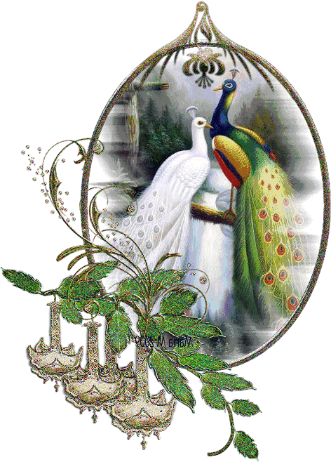 Открытки с павлинами скачать бесплатно. Открытки с павлинами gif.