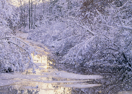 Открытки с зимней природой скачать бесплатно. Открытки с зимней природой онлайн.