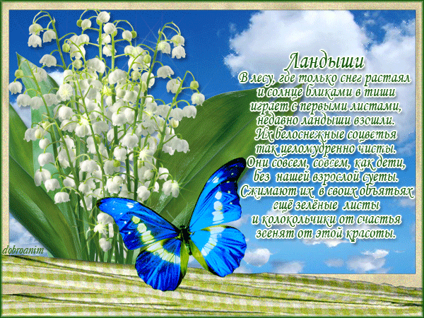 Картинки с ландышами с пожеланиями