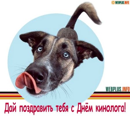 Открытки с днём кинолога скачать бесплатно. Открытки с днём кинолога 21 июня.