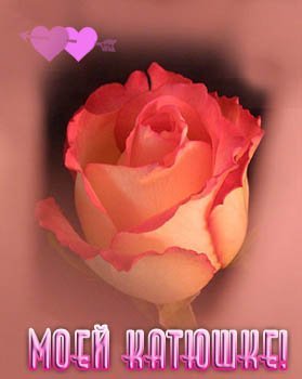 Открытки с именем Екатерина скачать бесплатно. Поздравительные открытки с име...