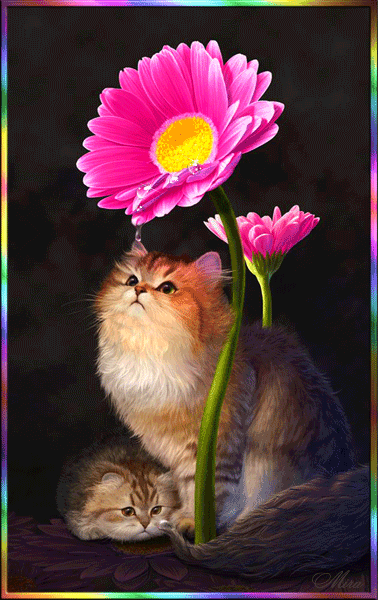 Открытки с росой на цветах скачать. Открытки с росой на цветах бесплатно.