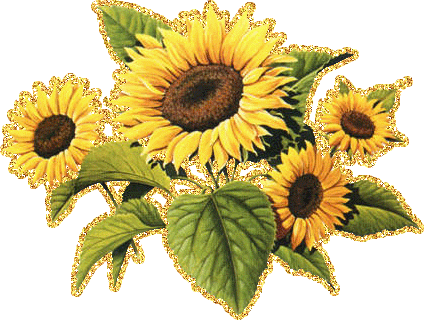 Открытки с подсолнухами скачать бесплатно. Открытки с подсолнухами gif.