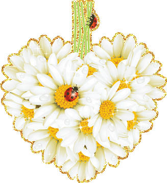 Открытки с букетом ромашек скачать бесплатно. Открытки с букетом ромашек онлайн.