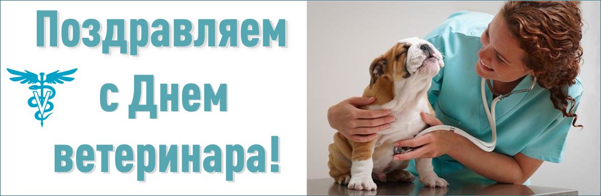 Открытки с Международным днём ветеринара скачать бесплатно.