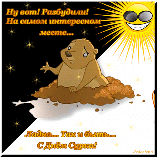 Скачать бесплатно открытки с днём сурка. Открытки с днём сурка Gif.