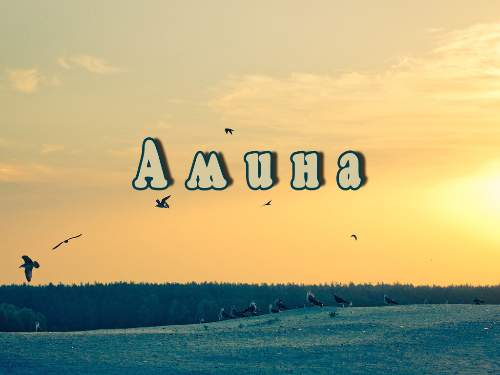 Открытки с именем Амина скачать бесплатно. С днём рождения Амина открытки.