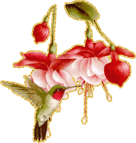 Анимационные открытки с фуксией. Открытки с фуксией скачать бесплатно.