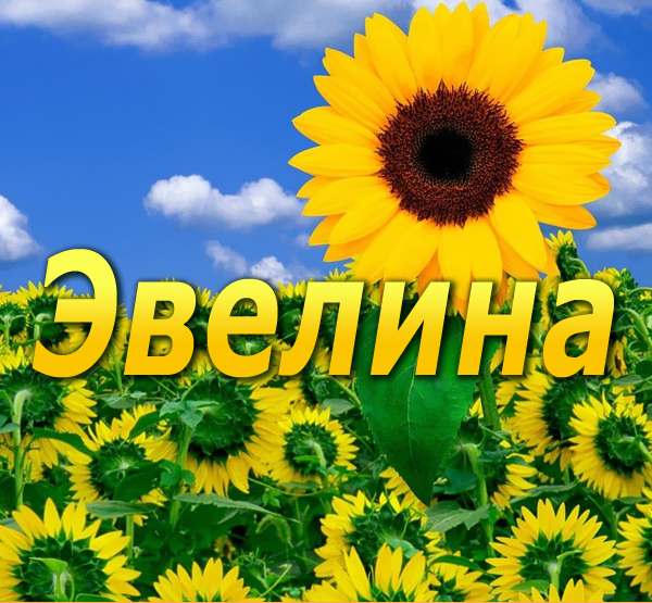 Поздравительные  открытки с именем Эвелина.  Открытки с именем Эвелина скачат...