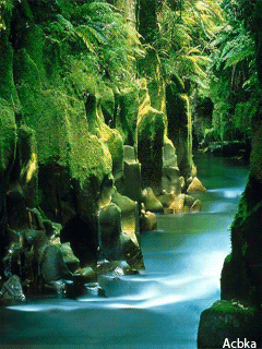 Открытки с красивой природой скачать бесплатно. Открытки с красивой природой ...