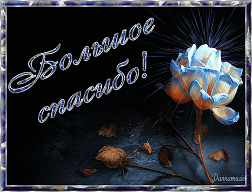 Красивые открытки с благодарностью. Открытки с надписью спасибо.