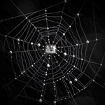 Открытки с паутиной с анимациями. Открытки с паутиной скачать.