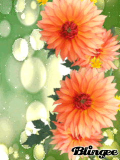 Открытки с георгинами скачать бесплатно. Открытки с георгинами онлайн.