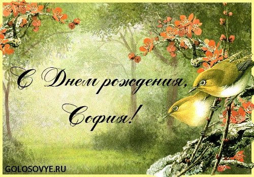 Открытки с именем София скачать бесплатно. Открытки с именем София с поздравл...