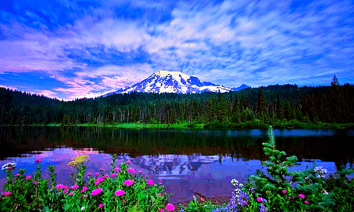 Открытки с озёрами с анимациями. Открытки с озёрами скачать.