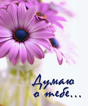 Скачать Открытки думаю о тебе бесплатно. Открытки думаю о тебе gif.