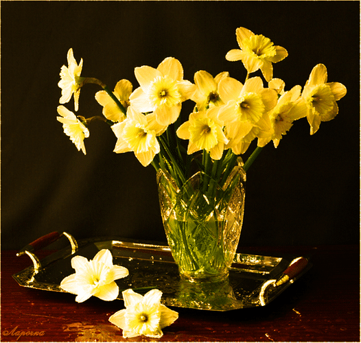 Открытки с букетом нарциссов анимационные. Открытки с букетом нарциссов gif.