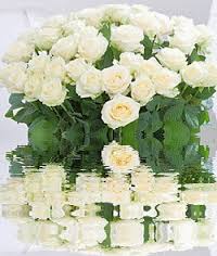 Открытки с белыми розами скачать бесплатно. Открытки с белыми розами онлайн.