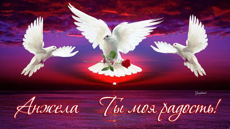 Открытки с именем Анжела скачать бесплатно. Открытки с именем Анжела gif.