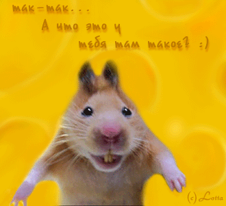 Скачать бесплатно открытки с хомяками. Открытки с хомяками gif.