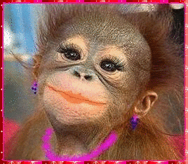 Открытки с обезьянами gif. Открытки с обезьянами скачать бесплатно.