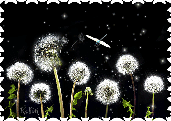 Открытки с белыми одуванчиками gif. Скачать открытки с белыми одуванчиками.